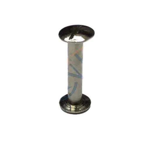 Cilt Menü, Katalog, Kartela Vidası, 20 Mm - Nikel, 1 Adet