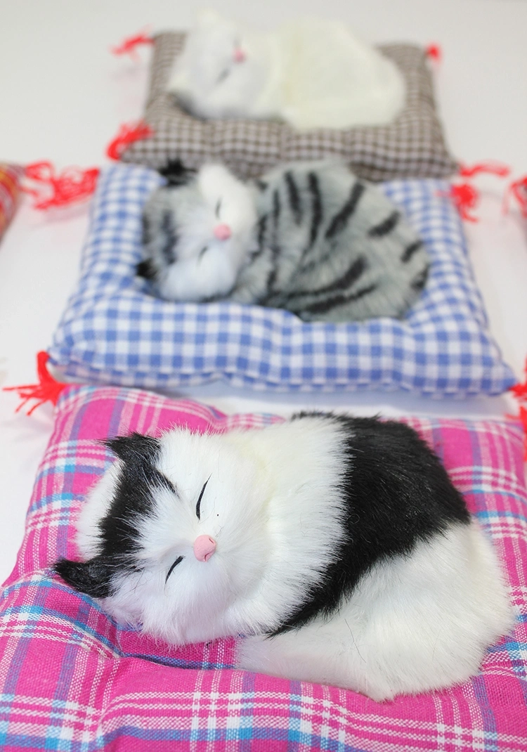 Yastıkta Uyuyan Kedi Sesli