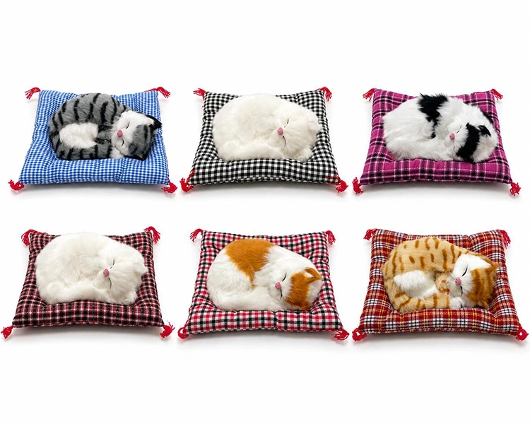 Yastıkta Uyuyan Kedi Sesli